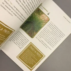 Garten Ohne Gießen (Anette Lepple) 13 Garten Ohne Gießen (Anette Lepple) -Gartenpflanzen Verkaufsladen 31512 Garten 20ohne 20Giessen Anette 20Lepple 6