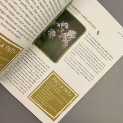 Garten Ohne Gießen (Anette Lepple) 14 Garten Ohne Gießen (Anette Lepple) -Gartenpflanzen Verkaufsladen 31512 Garten 20ohne 20Giessen Anette 20Lepple 7