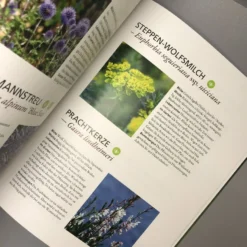 Trockenhelden Naturnah Gärtnern (Simone Kern) -Gartenpflanzen Verkaufsladen 31651 Trockenhelden 20Naturnah 20gaertnern Simone 20Kern 5