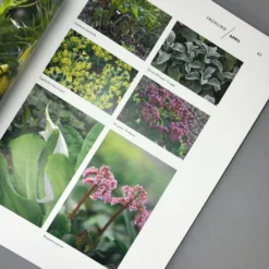 Mein Garten Im Wandel (Peter Janke) -Gartenpflanzen Verkaufsladen 31929 Mein 20Garten 20im 20Wandel Peter 20Janke 4