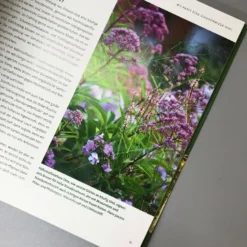 Wilde Wiesen Gestalten (Katrin Lugerbauer) -Gartenpflanzen Verkaufsladen 32038 Wilde 20Wiesen 20gestalten Katrin 20Lugerbauer 5