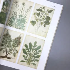 Wilde Wiesen Gestalten (Katrin Lugerbauer) -Gartenpflanzen Verkaufsladen 32038 Wilde 20Wiesen 20gestalten Katrin 20Lugerbauer 6