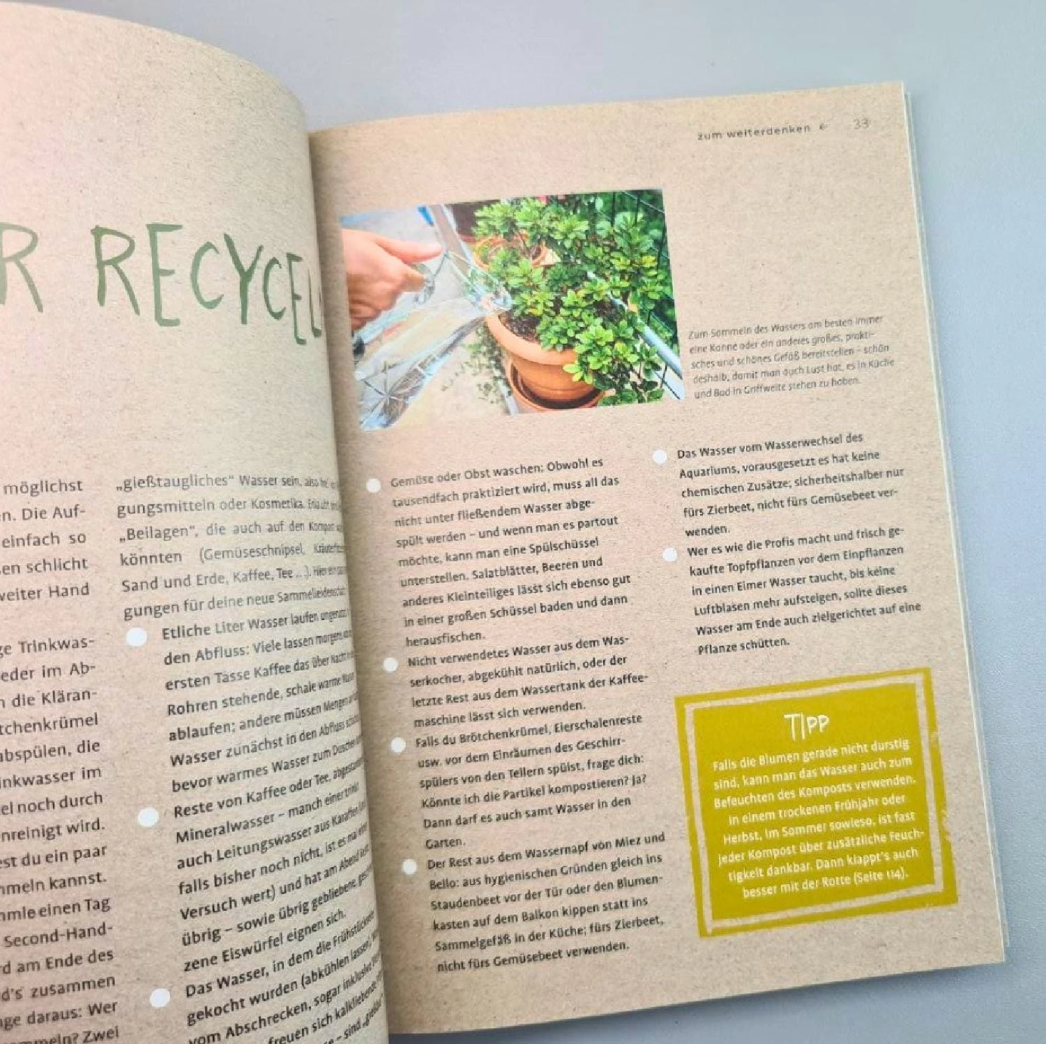 1x Hacken Spart 2x Giessen (Antje Krause) 7 1x Hacken Spart 2x Giessen (Antje Krause) – Bild 5