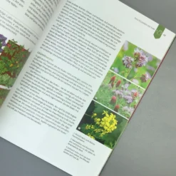 Gemüse Ernten Ohne Gießen (Christine Weidenweber) -Gartenpflanzen Verkaufsladen 32987 Gemuese 20ernten 20ohne 20giessen Christine 20Weidenweber 4