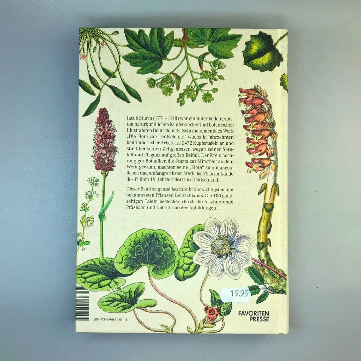 Die Flora Von Deutschland (Jacob Sturm) 5 Die Flora Von Deutschland (Jacob Sturm) – Bild 3