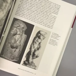 Michelangelo (Horst Bredekamp) -Gartenpflanzen Verkaufsladen 33381 Michelangelo Horst 20Bredekamp 4