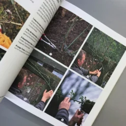 Richtig Gut Gärtnern (RHS Royal Horticulture Society) -Gartenpflanzen Verkaufsladen 34294 Richtig 20gut 20Gaertnern RHS 20Royal 20Horticulture 20Society 7