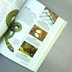 Leben Am Gartenteich (Kate Bradbury) -Gartenpflanzen Verkaufsladen 34296 Leben 20am 20Gartenteich Kate 20Bradbury 5