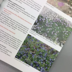 Wächst Fast Ohne Wasser (Aurélien Davroux) -Gartenpflanzen Verkaufsladen 34690 Waechst 20fast 20ohne 20Wasser Aurlien 20Davroux 6