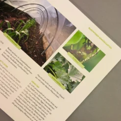 Was Mache Ich Wann Im Gemüsegarten? (Otmar Diez) 11 Was Mache Ich Wann Im Gemüsegarten? (Otmar Diez) -Gartenpflanzen Verkaufsladen 34784 Was 20mache 20ich 20wann 20im 20Gemuesegarten Otmar 20Diez 5