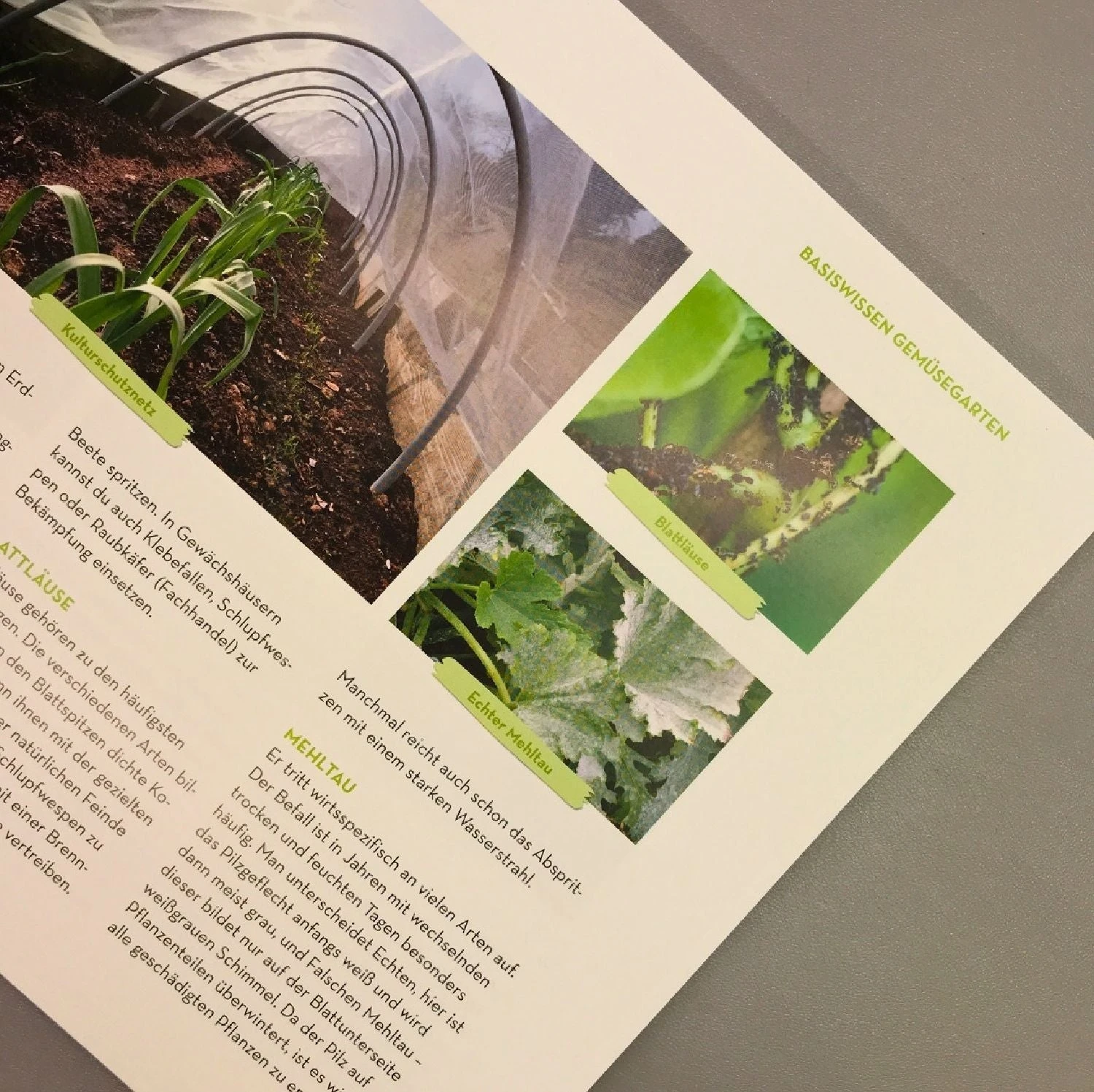 Was Mache Ich Wann Im Gemüsegarten? (Otmar Diez) 6 Was Mache Ich Wann Im Gemüsegarten? (Otmar Diez) – Bild 4