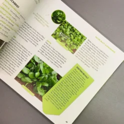 Was Mache Ich Wann Im Gemüsegarten? (Otmar Diez) 12 Was Mache Ich Wann Im Gemüsegarten? (Otmar Diez) -Gartenpflanzen Verkaufsladen 34784 Was 20mache 20ich 20wann 20im 20Gemuesegarten Otmar 20Diez 6