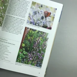 Wild Und Bunt (Naturnahe Gärten) -Gartenpflanzen Verkaufsladen 34785 Wild 20und 20Bunt Naturnahe 20Gaerten 4 2006667a 7050 4d14 88ee 9f2b67e89403