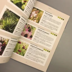 Blumen-Beete | Es Geht Auch Einfach (Iris Winkenbach) -Gartenpflanzen Verkaufsladen 34786 Blumen Beete 20 20Es 20geht 20auch 20einfach Iris 20Winkenbach 6