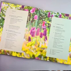 Robuste Traumbeete Gestalten (Ina Timm, Sylvia Knittel) 10 Robuste Traumbeete Gestalten (Ina Timm, Sylvia Knittel) -Gartenpflanzen Verkaufsladen 34925 Robuste 20Traumbeete 20gestalten Ina 20Timm 20Sylvia 20Knittel 3 ddab70a1 e554 4924 892a c59176326575