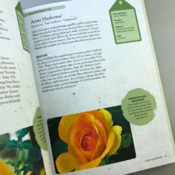 ROSEN | PFLANZEN, PFLEGEN, VERMEHREN (Tony Hall) -Gartenpflanzen Verkaufsladen 35139 ROSEN 20 20PFLANZEN 20PFLEGEN 20VERMEHREN Tony 20Hall 6