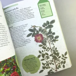 ROSEN | PFLANZEN, PFLEGEN, VERMEHREN (Tony Hall) -Gartenpflanzen Verkaufsladen 35139 ROSEN 20 20PFLANZEN 20PFLEGEN 20VERMEHREN Tony 20Hall 7