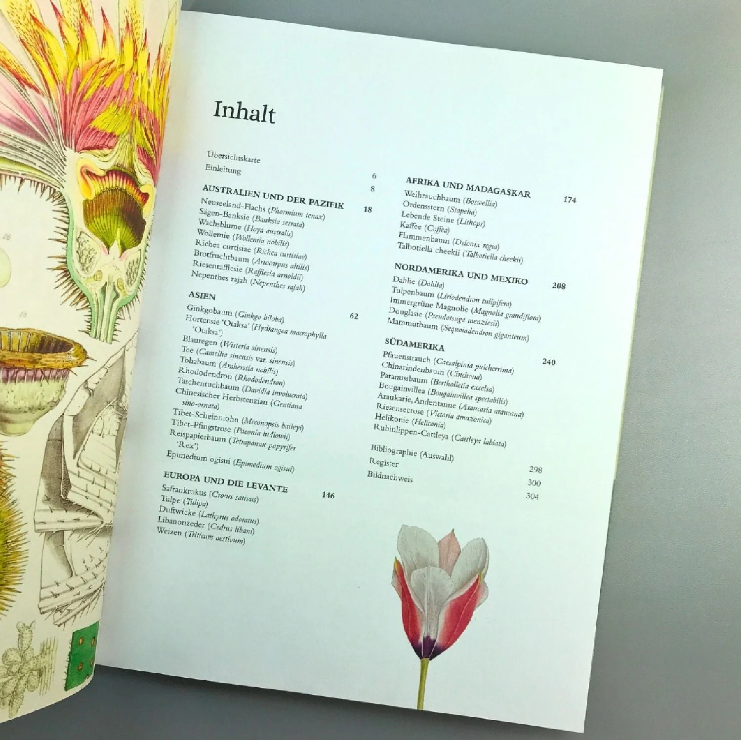 Pflanzenjäger (Wie Exotische Pflanzen In Unsere Gärten) 11 Pflanzenjäger (Wie Exotische Pflanzen In Unsere Gärten) – Bild 9