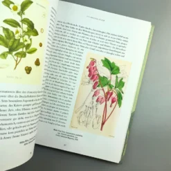 Pflanzenjäger (Wie Exotische Pflanzen In Unsere Gärten) 22 Pflanzenjäger (Wie Exotische Pflanzen In Unsere Gärten) -Gartenpflanzen Verkaufsladen 35899 Pflanzenjaeger Wie 20exotische 20Pflanzen 20in 20unsere 20Gaerten 5