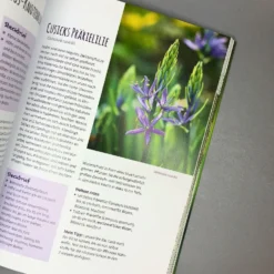 Die 150 Besten Pflanzen (für Jede Gartenecken) 18 Die 150 Besten Pflanzen (für Jede Gartenecken) -Gartenpflanzen Verkaufsladen 35935 Die 20150 20Besten 20Pflanzen 20fuer 20jede 20Gartenecken 5