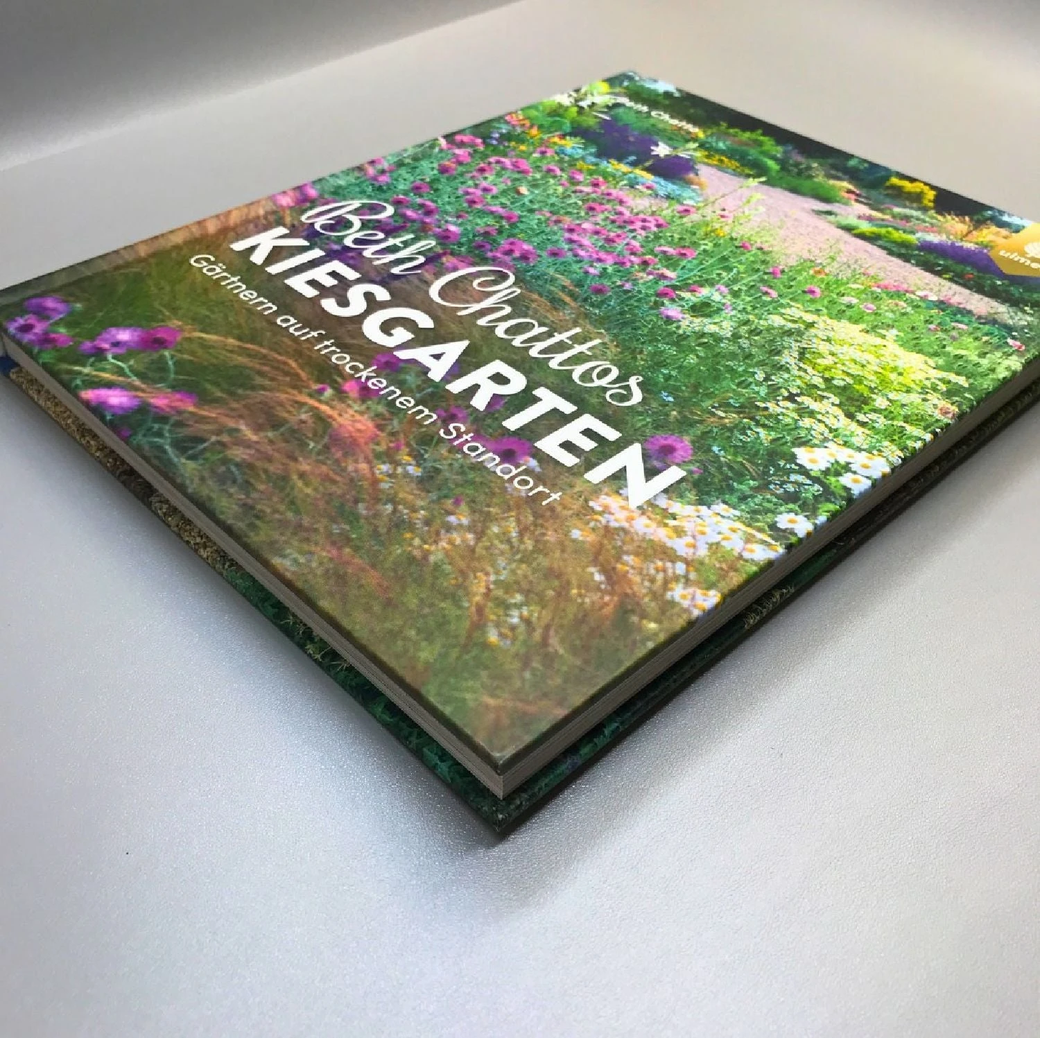 Beth Chatto Kiesgarten (Gärtnern Auf Trockenem Standort) 3 Beth Chatto Kiesgarten (Gärtnern Auf Trockenem Standort)