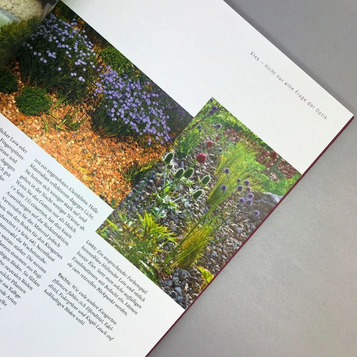 Beth Chatto Kiesgarten (Gärtnern Auf Trockenem Standort) 4 Beth Chatto Kiesgarten (Gärtnern Auf Trockenem Standort) – Bild 2