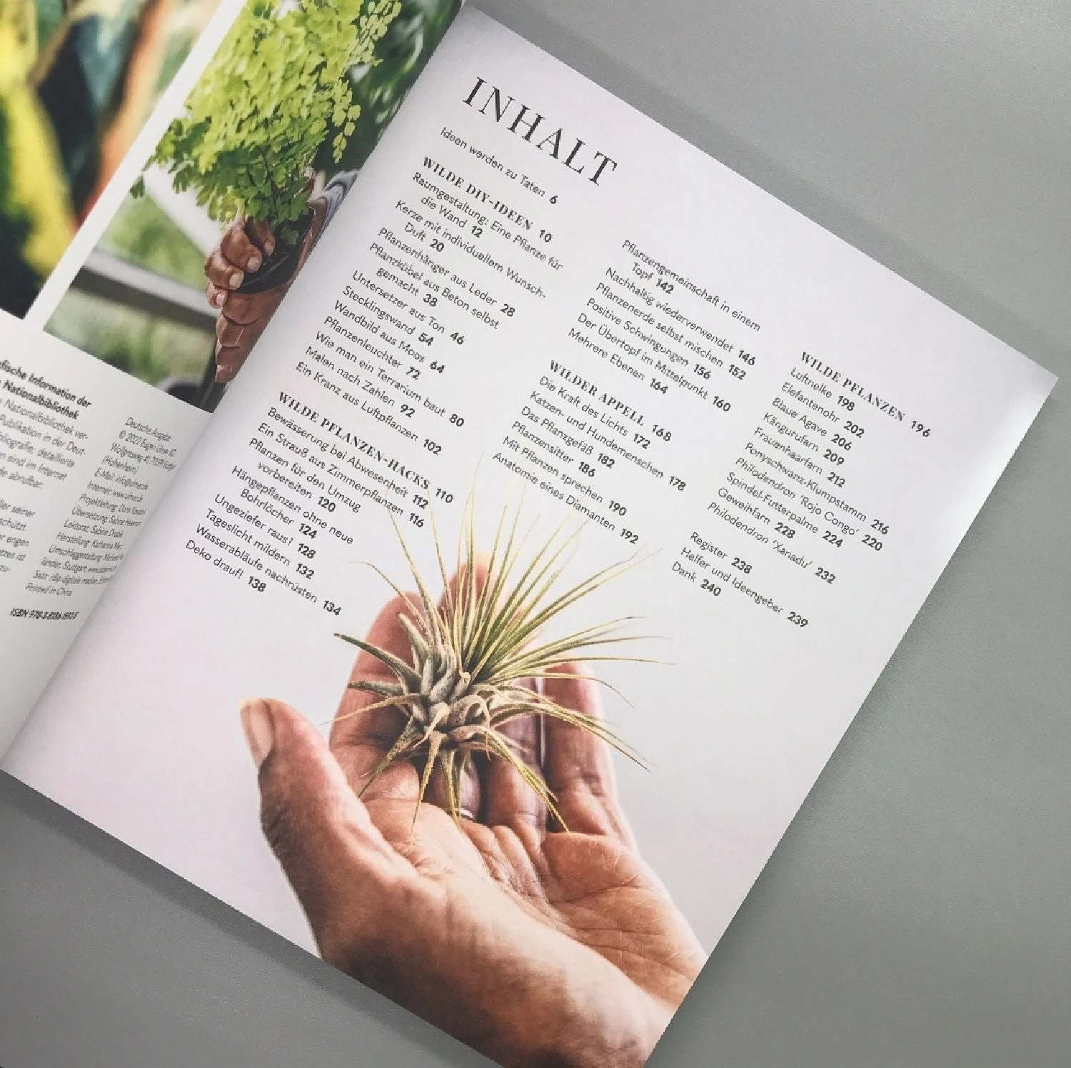 Welcome To The Jungle () 4 Welcome To The Jungle () – Bild 2