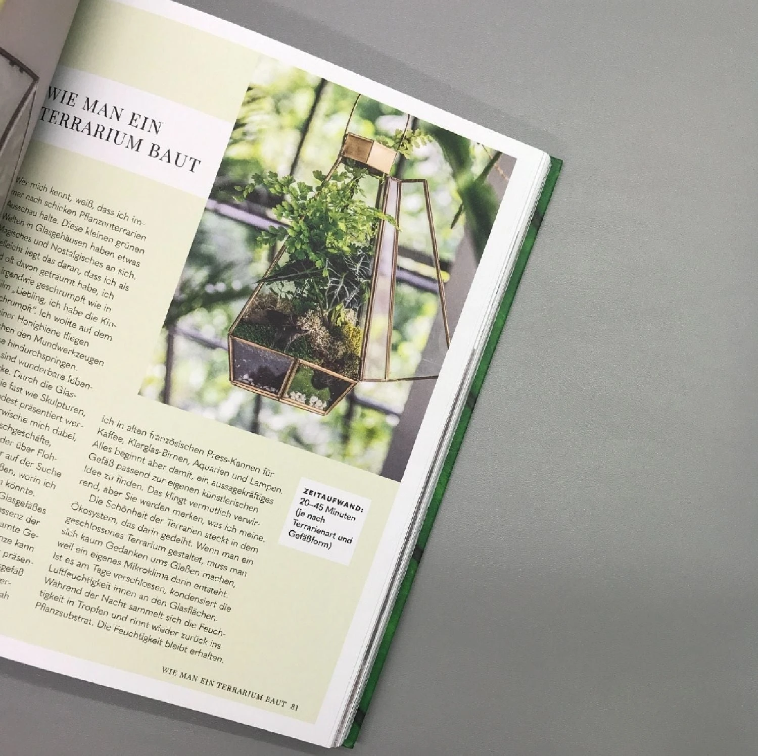 Welcome To The Jungle () 6 Welcome To The Jungle () – Bild 4