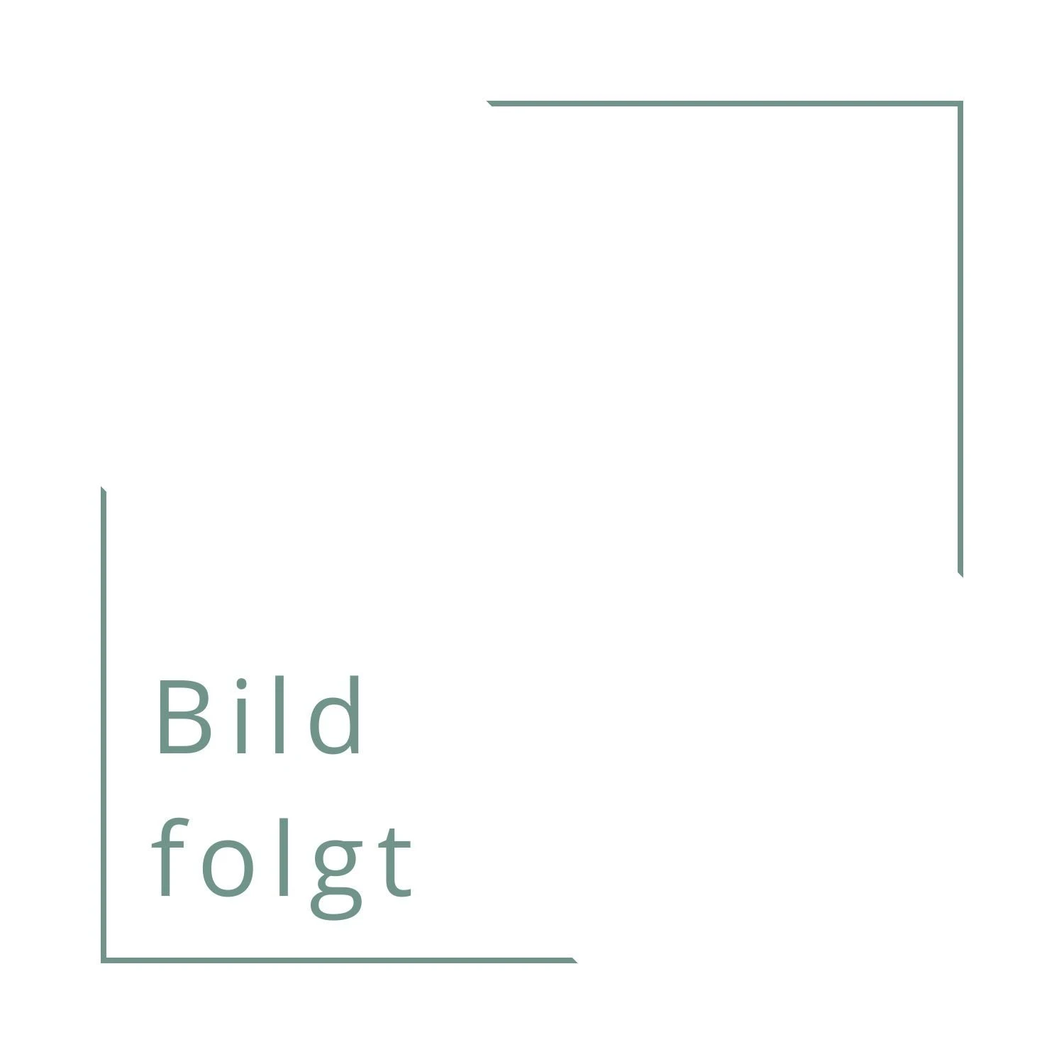 Rosen | Die Schönsten Sorten Auswählen (Michael Marriot) 6 Rosen | Die Schönsten Sorten Auswählen (Michael Marriot) – Bild 5