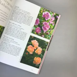 Rosen | Die Schönsten Sorten Auswählen (Michael Marriot) 8 Rosen | Die Schönsten Sorten Auswählen (Michael Marriot) -Gartenpflanzen Verkaufsladen 36806 Rosen 20 20Die 20schoensten 20Sorten 20auswaehlen Michael 20Marriot 4 9a2d44e7 145e 42dc b710 411f5a3c70ff