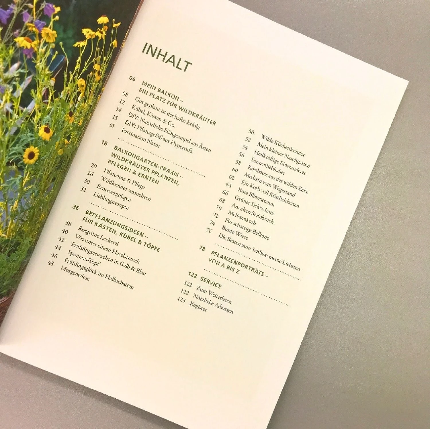 Wildkräuter In Töpfen Und Kübeln (Ortrud Grieb) 5 Wildkräuter In Töpfen Und Kübeln (Ortrud Grieb) – Bild 3