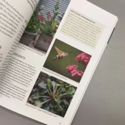 Wildkräuter In Töpfen Und Kübeln (Ortrud Grieb) 10 Wildkräuter In Töpfen Und Kübeln (Ortrud Grieb) -Gartenpflanzen Verkaufsladen 37112 Wildkraeuter 20in 20Toepfen 20und 20Kuebeln Ortrud 20Grieb 5