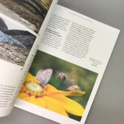 Wenn Nicht Jetzt, Wann Dann? (Manuela Gassner) 16 Wenn Nicht Jetzt, Wann Dann? (Manuela Gassner) -Gartenpflanzen Verkaufsladen 37114 Wenn 20nicht 20jetzt 20Wann 20dann 20 Manuela 20Gassner 5