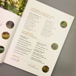 Echte Hitzeprofis (Katrin Lugerbauer) -Gartenpflanzen Verkaufsladen 37807 Echte 20Hitzeprofis Katrin 20Lugerbauer 4