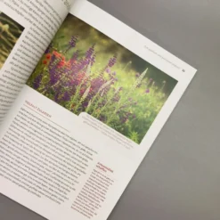 Echte Hitzeprofis (Katrin Lugerbauer) -Gartenpflanzen Verkaufsladen 37807 Echte 20Hitzeprofis Katrin 20Lugerbauer 5