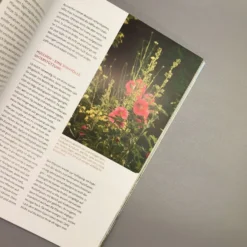 Echte Hitzeprofis (Katrin Lugerbauer) -Gartenpflanzen Verkaufsladen 37807 Echte 20Hitzeprofis Katrin 20Lugerbauer 6