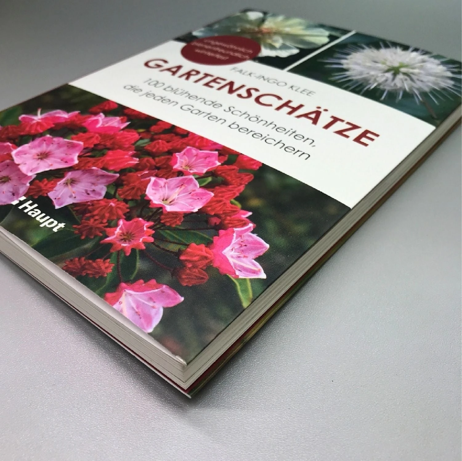Gartenschätze (Falk-Ingo Klee) 4 Gartenschätze (Falk-Ingo Klee) – Bild 2