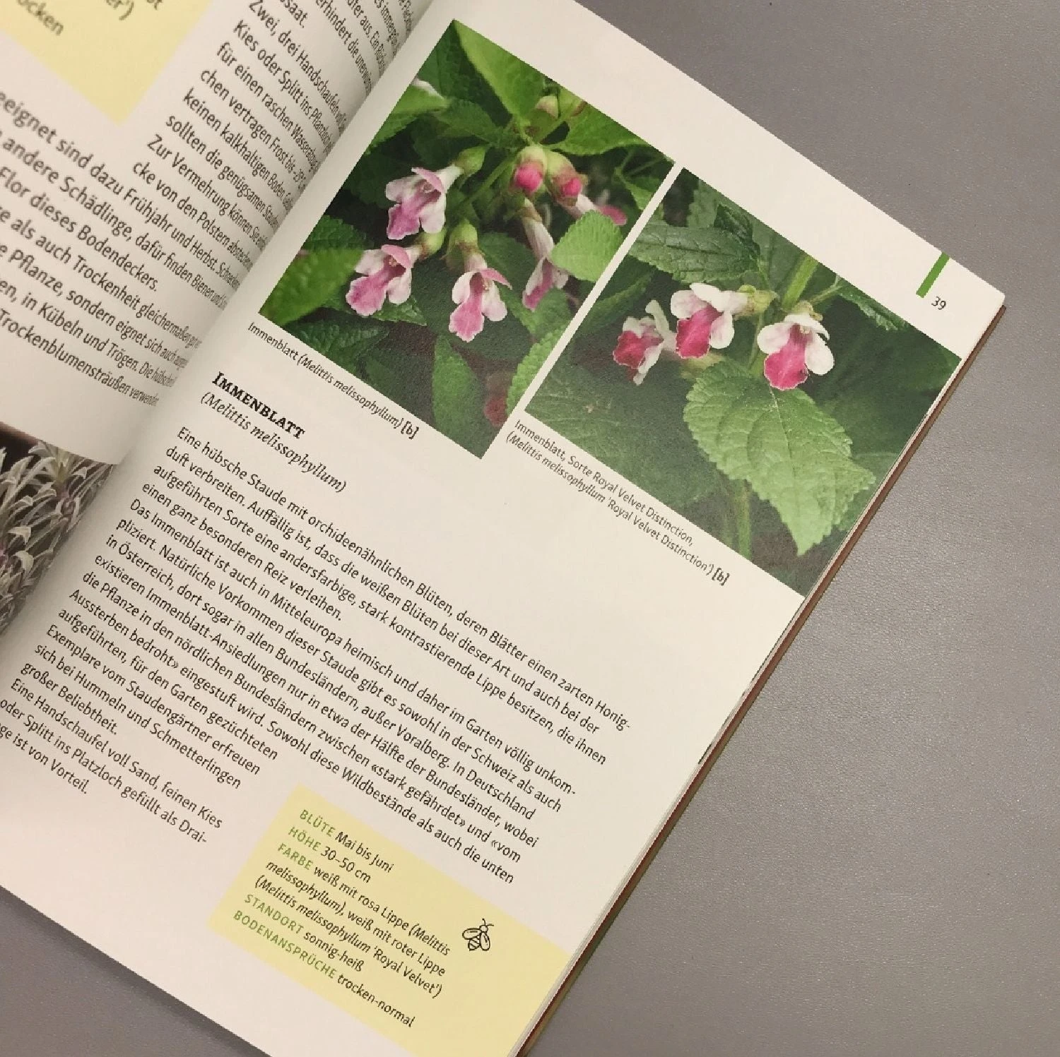 Gartenschätze (Falk-Ingo Klee) 6 Gartenschätze (Falk-Ingo Klee) – Bild 4