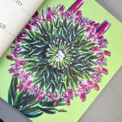 Flowers Forever (Blumen In Kunst Und Kultur) -Gartenpflanzen Verkaufsladen 38074 Flowers 20Forever Blumen 20in 20Kunst 20und 20Kultur 4