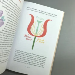 Schreibers Naturarium (Jasmin Schreiber) 9 Schreibers Naturarium (Jasmin Schreiber) -Gartenpflanzen Verkaufsladen 38201 Schreibers 20Naturarium Jasmin 20Schreiber 4