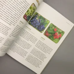 Mein Genialer Bio-Balkon (Birgit Schattling) -Gartenpflanzen Verkaufsladen 38452 Mein 20Genialer 20Bio Balkon Birgit 20Schattling 6 a3f9eab7 46a5 44f6 bc93 5bb3a22f5311