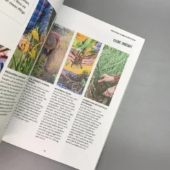 In Den Garten Fertig Los (Jean-Michel Groult) -Gartenpflanzen Verkaufsladen 38587 In 20den 20Garten 20fertig 20los Jean Michel 20Groult 5 1182d5ff 0c38 4ef0 92e8 54c7743f5fb9