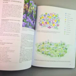 Überlebenskünstler (Simone Kern) -Gartenpflanzen Verkaufsladen 38665 UEberlebenskuenstler Simone 20Kern 4 964d27af 3dd4 4934 8637 057e75bf59d7